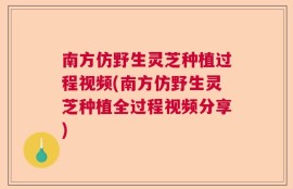 南方仿野生灵芝种植过程视频(南方仿野生灵芝种植全过程视频分享)