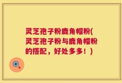 灵芝孢子粉鹿角帽粉(灵芝孢子粉与鹿角帽粉的搭配，好处多多！)