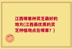江西哪里种灵芝最好的地方(江西最优质的灵芝种植地点在哪里？)