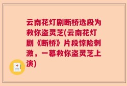 云南花灯剧断桥选段为救你盗灵芝(云南花灯剧《断桥》片段惊险刺激，一幕救你盗灵芝上演)