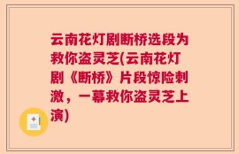 云南花灯剧断桥选段为救你盗灵芝(云南花灯剧《断桥》片段惊险刺激，一幕救你盗灵芝上演)