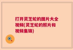 打开灵芝蛇的图片大全视频(灵芝蛇的照片和视频集锦)