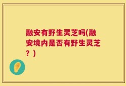 融安有野生灵芝吗(融安境内是否有野生灵芝？)