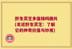 野生灵芝多值钱吗图片(走近野生灵芝：了解它的神奇价值与妙用)