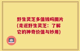 野生灵芝多值钱吗图片(走近野生灵芝：了解它的神奇价值与妙用)