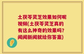 土茯苓灵芝效果如何呢视频(土茯苓灵芝真的有这么神奇的效果吗？闻闻新闻就给你答案)