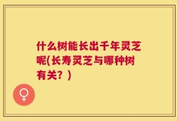 什么树能长出千年灵芝呢(长寿灵芝与哪种树有关？)