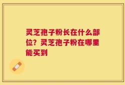 灵芝孢子粉长在什么部位？灵芝孢子粉在哪里能买到
