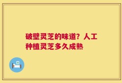 破壁灵芝的味道？人工种植灵芝多久成熟