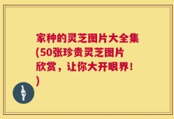 家种的灵芝图片大全集(50张珍贵灵芝图片欣赏，让你大开眼界！)