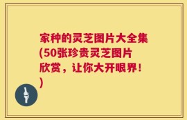 家种的灵芝图片大全集(50张珍贵灵芝图片欣赏，让你大开眼界！)