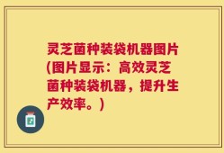 灵芝菌种装袋机器图片(图片显示：高效灵芝菌种装袋机器，提升生产效率。)