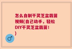 怎么自制干灵芝盆栽苗视频(自己动手，轻松DIY干灵芝盆栽苗！)