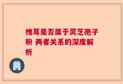 槐耳是否属于灵芝孢子粉 两者关系的深度解析