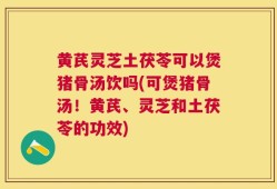 黄芪灵芝土茯苓可以煲猪骨汤饮吗(可煲猪骨汤！黄芪、灵芝和土茯苓的功效)