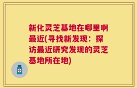 新化灵芝基地在哪里啊最近(寻找新发现：探访最近研究发现的灵芝基地所在地)