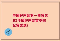 中国好声音第一季官灵芝(中国好声音首季冠军官灵芝)