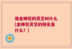 像金蝉花的灵芝叫什么(金蝉花灵芝的别名是什么？)