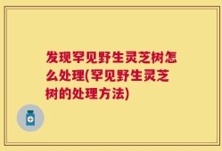 发现罕见野生灵芝树怎么处理(罕见野生灵芝树的处理方法)