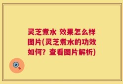 灵芝煮水 效果怎么样图片(灵芝煮水的功效如何？查看图片解析)