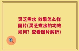 灵芝煮水 效果怎么样图片(灵芝煮水的功效如何？查看图片解析)