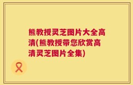 熊教授灵芝图片大全高清(熊教授带您欣赏高清灵芝图片全集)