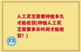 人工灵芝需要种植多久才能收获(种植人工灵芝需要多长时间才能收获？)