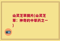 山灵芝草图片(山灵芝草：神奇的中草药之一)