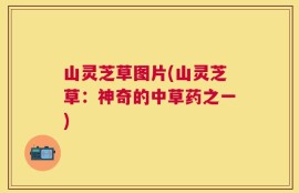 山灵芝草图片(山灵芝草：神奇的中草药之一)