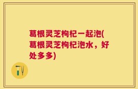 葛根灵芝枸杞一起泡(葛根灵芝枸杞泡水，好处多多)