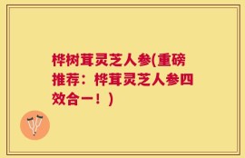 桦树茸灵芝人参(重磅推荐：桦茸灵芝人参四效合一！)