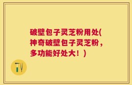 破壁包子灵芝粉用处(神奇破壁包子灵芝粉，多功能好处大！)
