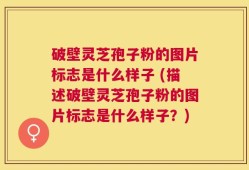 破壁灵芝孢子粉的图片标志是什么样子 (描述破壁灵芝孢子粉的图片标志是什么样子？)