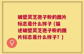 破壁灵芝孢子粉的图片标志是什么样子 (描述破壁灵芝孢子粉的图片标志是什么样子？)