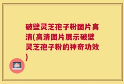 破壁灵芝孢子粉图片高清(高清图片展示破壁灵芝孢子粉的神奇功效)
