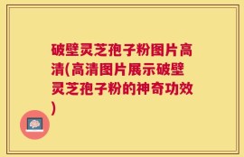 破壁灵芝孢子粉图片高清(高清图片展示破壁灵芝孢子粉的神奇功效)