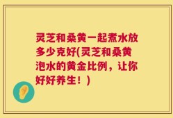 灵芝和桑黄一起煮水放多少克好(灵芝和桑黄泡水的黄金比例，让你好好养生！)