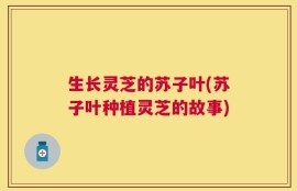生长灵芝的苏子叶(苏子叶种植灵芝的故事)