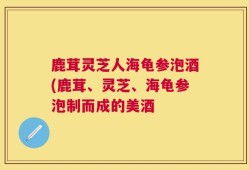 鹿茸灵芝人海龟参泡酒(鹿茸、灵芝、海龟参泡制而成的美酒