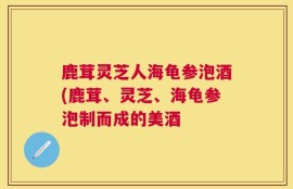 鹿茸灵芝人海龟参泡酒(鹿茸、灵芝、海龟参泡制而成的美酒