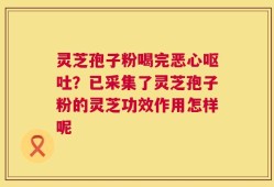 灵芝孢子粉喝完恶心呕吐？已采集了灵芝孢子粉的灵芝功效作用怎样呢