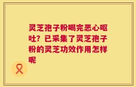 灵芝孢子粉喝完恶心呕吐？已采集了灵芝孢子粉的灵芝功效作用怎样呢