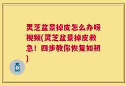 灵芝盆景掉皮怎么办呀视频(灵芝盆景掉皮救急！四步教你恢复如初)