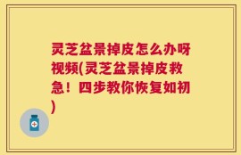 灵芝盆景掉皮怎么办呀视频(灵芝盆景掉皮救急！四步教你恢复如初)