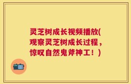 灵芝树成长视频播放(观察灵芝树成长过程，惊叹自然鬼斧神工！)