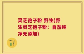 灵芝孢子粉 野生(野生灵芝孢子粉：自然纯净无添加)