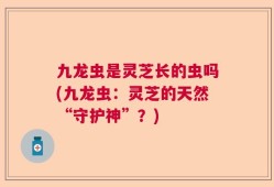 九龙虫是灵芝长的虫吗(九龙虫：灵芝的天然“守护神”？)