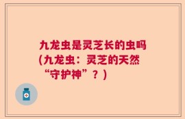 九龙虫是灵芝长的虫吗(九龙虫：灵芝的天然“守护神”？)