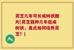 灵芝几年可长成树状图片(灵芝栽种几年后成树状，盘点如何培养灵芝？)
