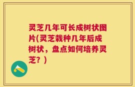 灵芝几年可长成树状图片(灵芝栽种几年后成树状，盘点如何培养灵芝？)